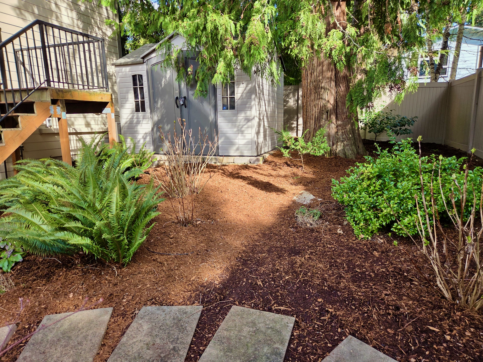 Garden Shed