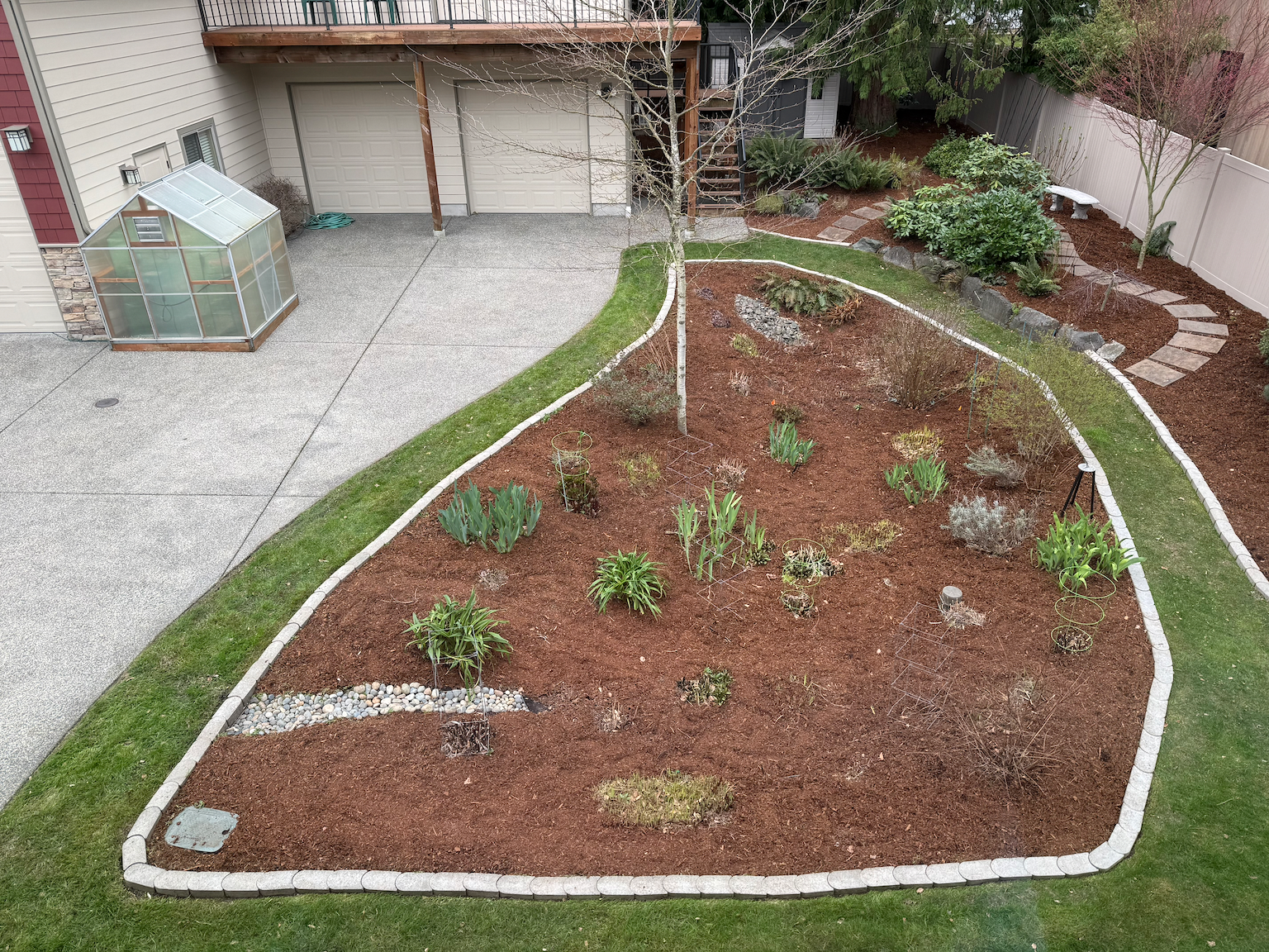 Rain Garden